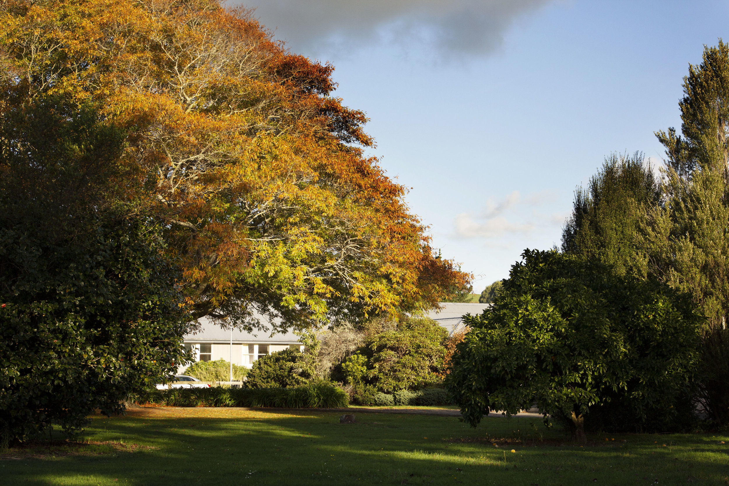Landscaped gardens