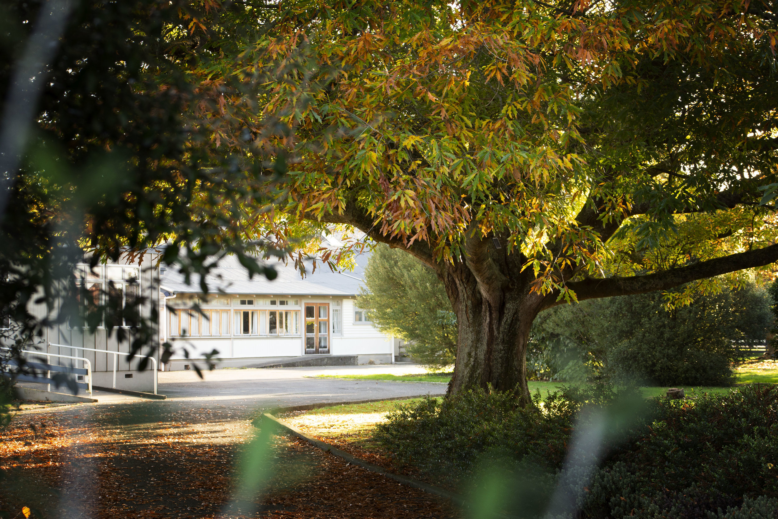 View from rear drive-way