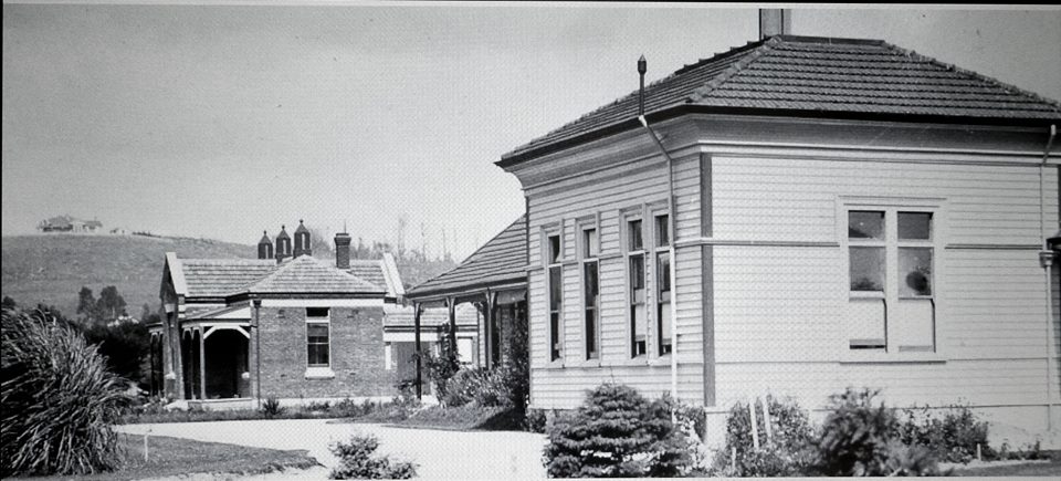 15a.jpg