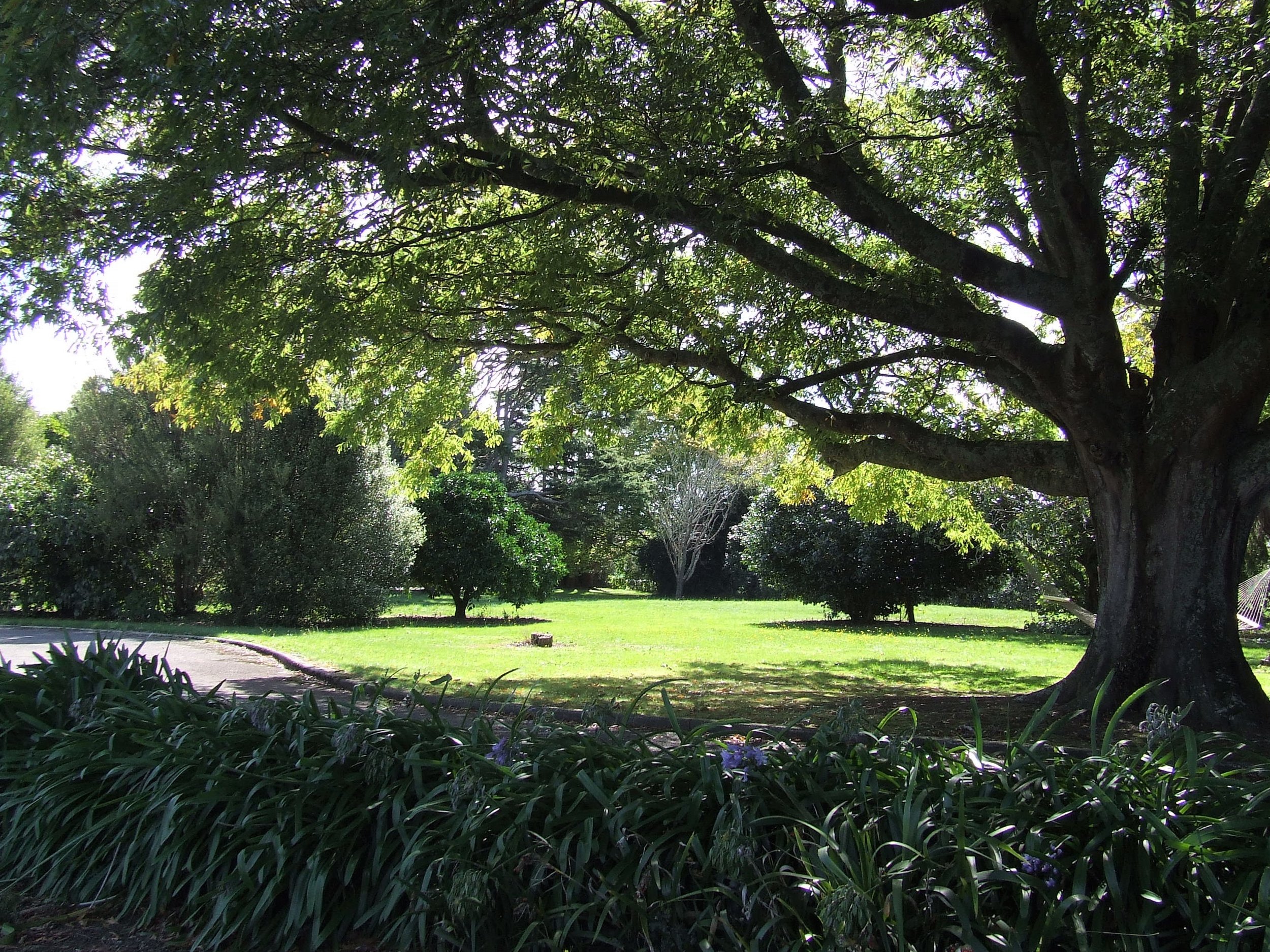 DSCF8629.JPG