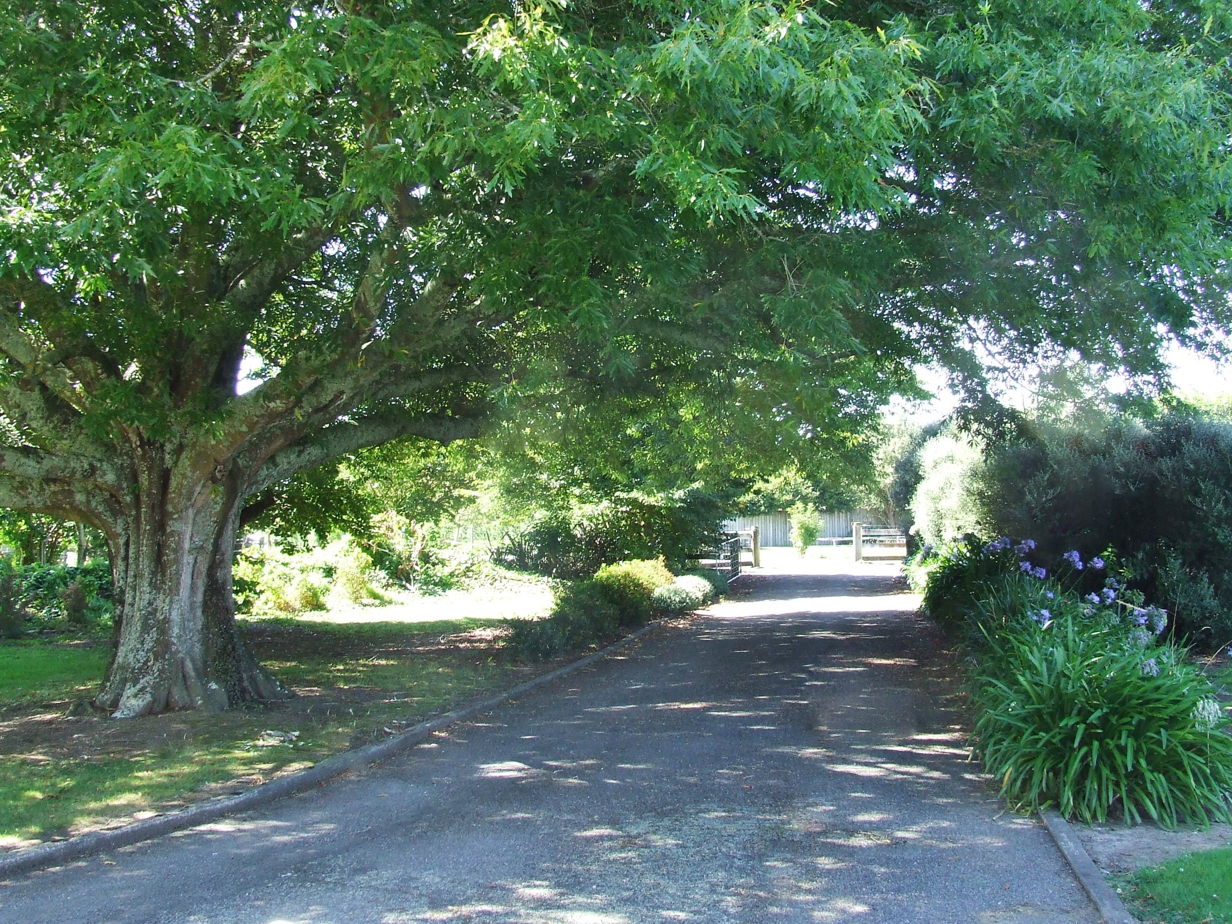 Rear driveway entrance
