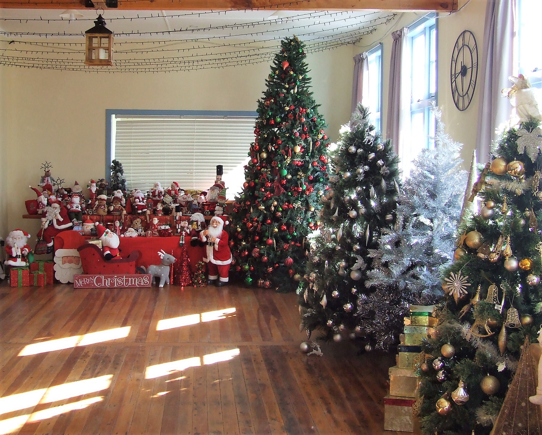 DSCF9515.JPG
