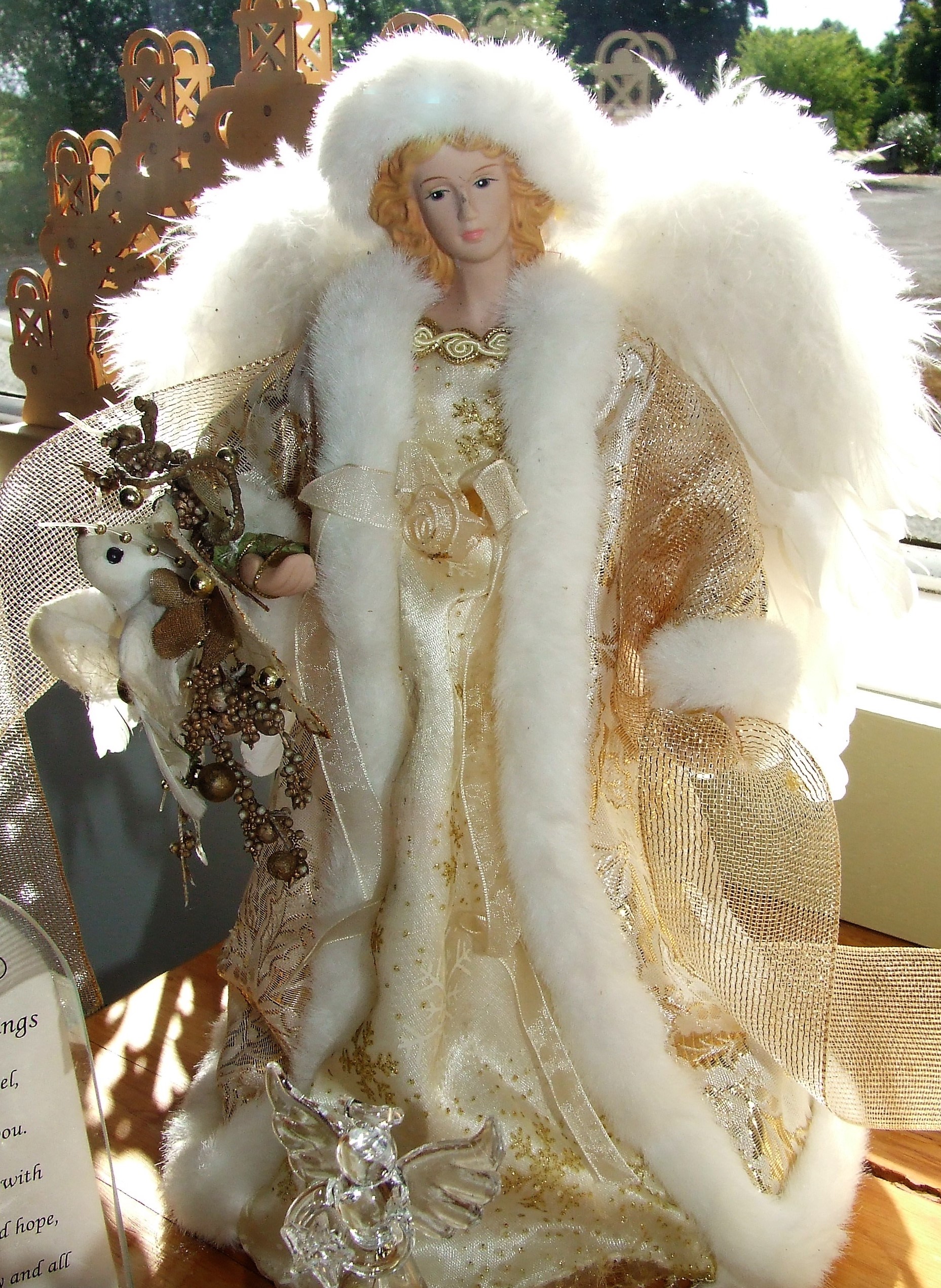DSCF9567.JPG
